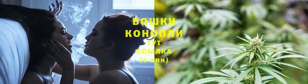 гидропоника Баксан