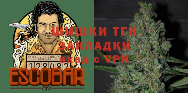эйфоретик Аркадак