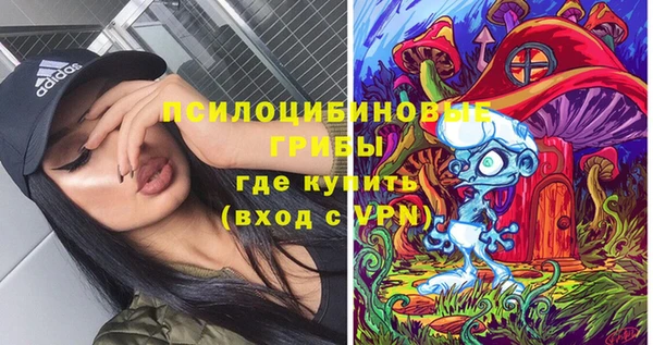 бошки Армянск