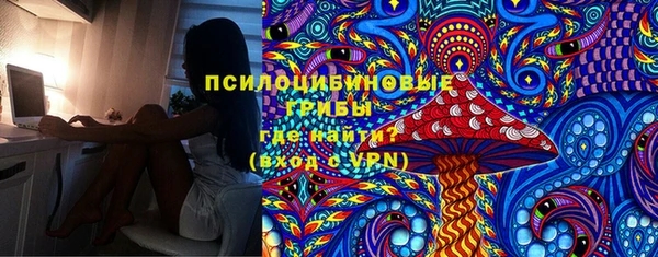 эйфоретик Аркадак