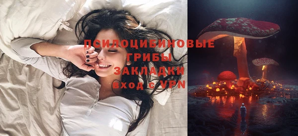 бошки Армянск