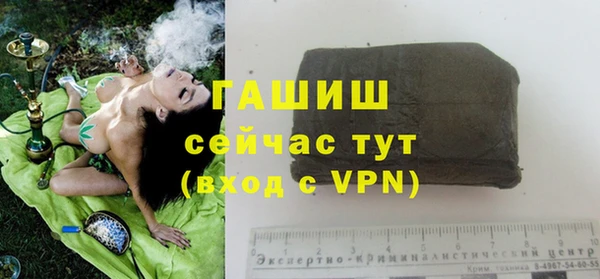 эйфоретик Аркадак